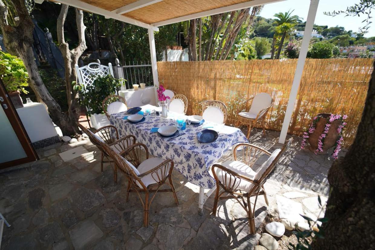 Villa Le Palme Forio di Ischia 외부 사진