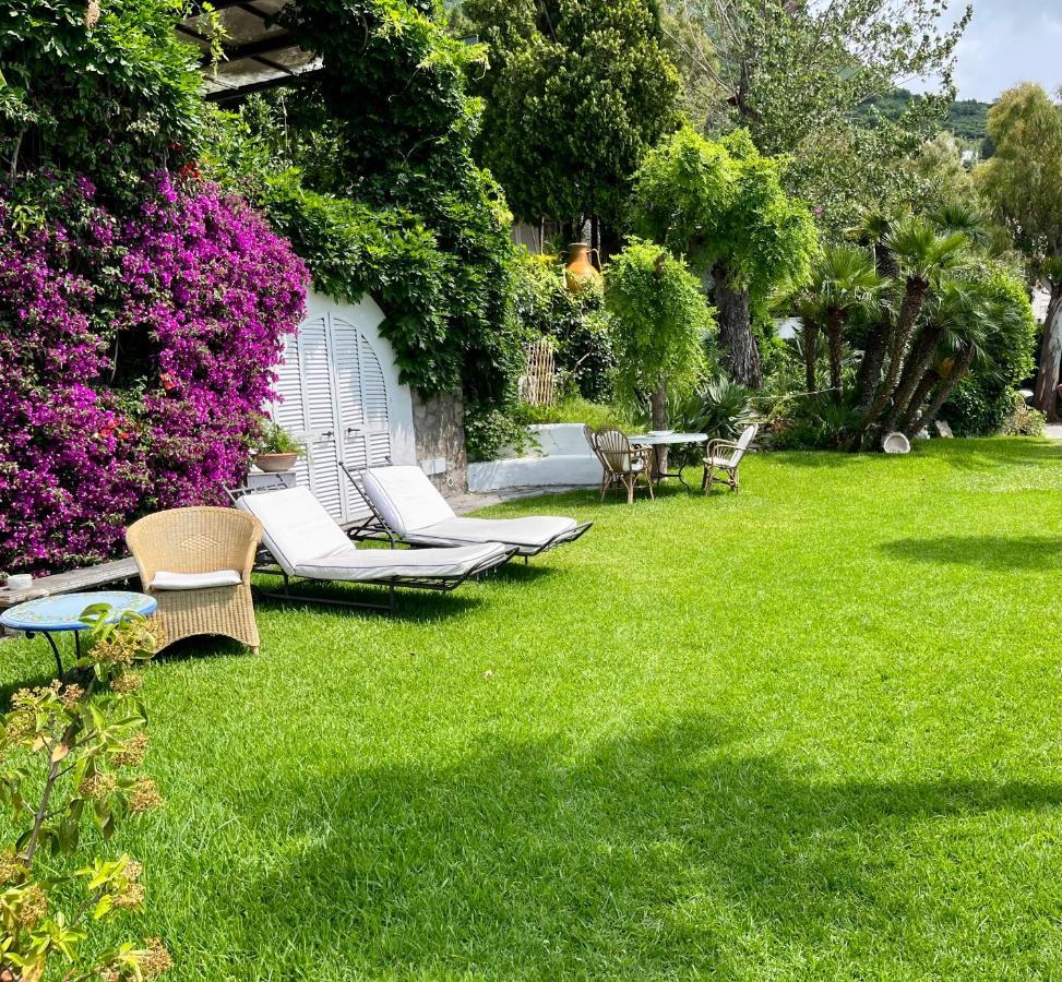 Villa Le Palme Forio di Ischia 외부 사진